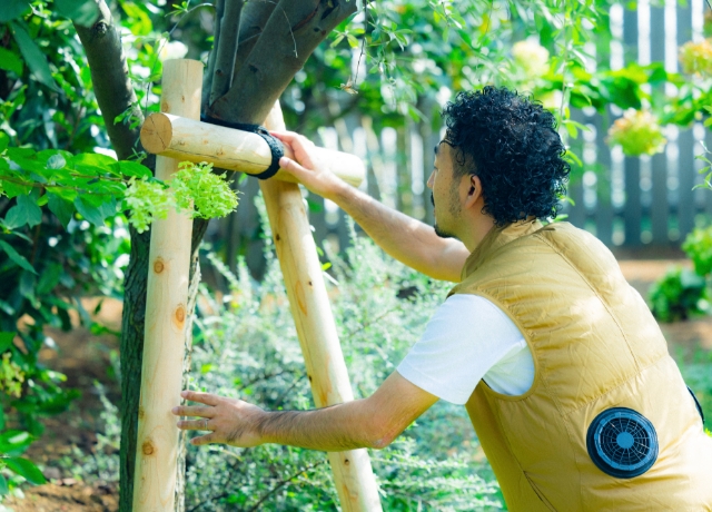 未来を描くデザイン イメージ写真