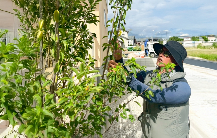 コンセプトイメージ写真