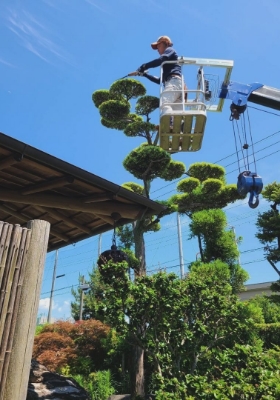 コンセプトイメージ写真