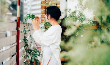 食べられる庭 イメージ写真