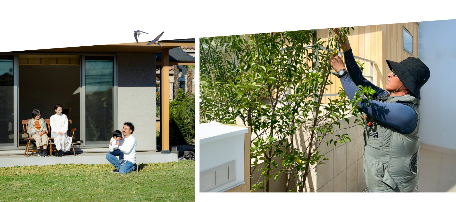 メインビジュアル