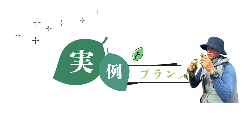 実例プラン