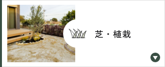 芝・植栽