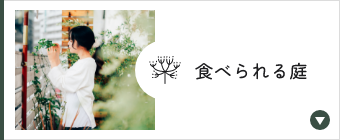 食べられる庭