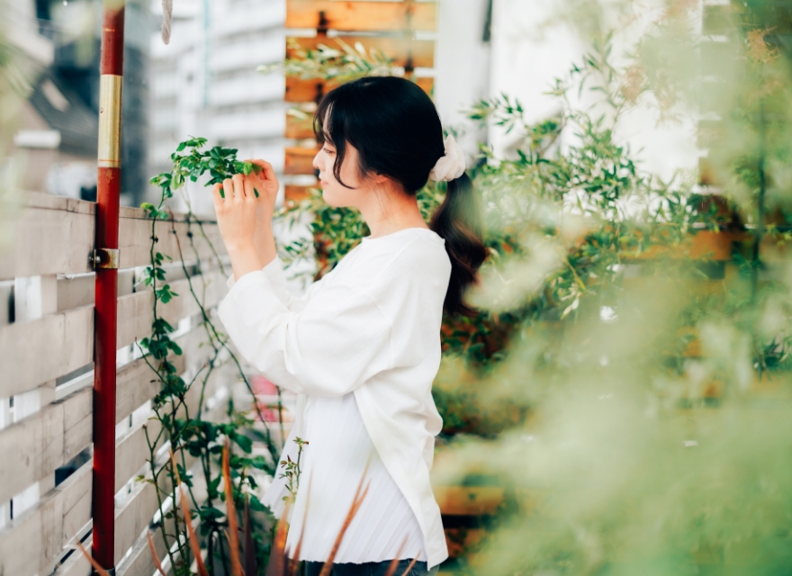 食べられる庭 イメージ写真