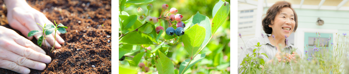 食べられる庭 イメージ写真