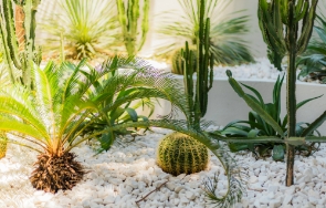 妥協のないプロ意識が生む高い仕上がり イメージ写真